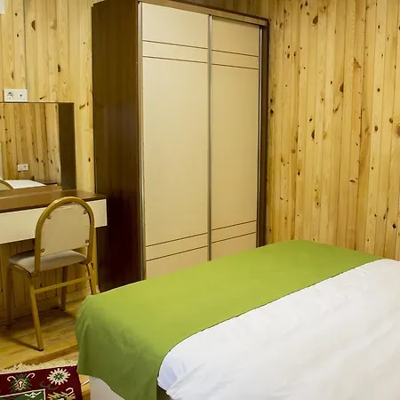 Apartment Saray Apart *